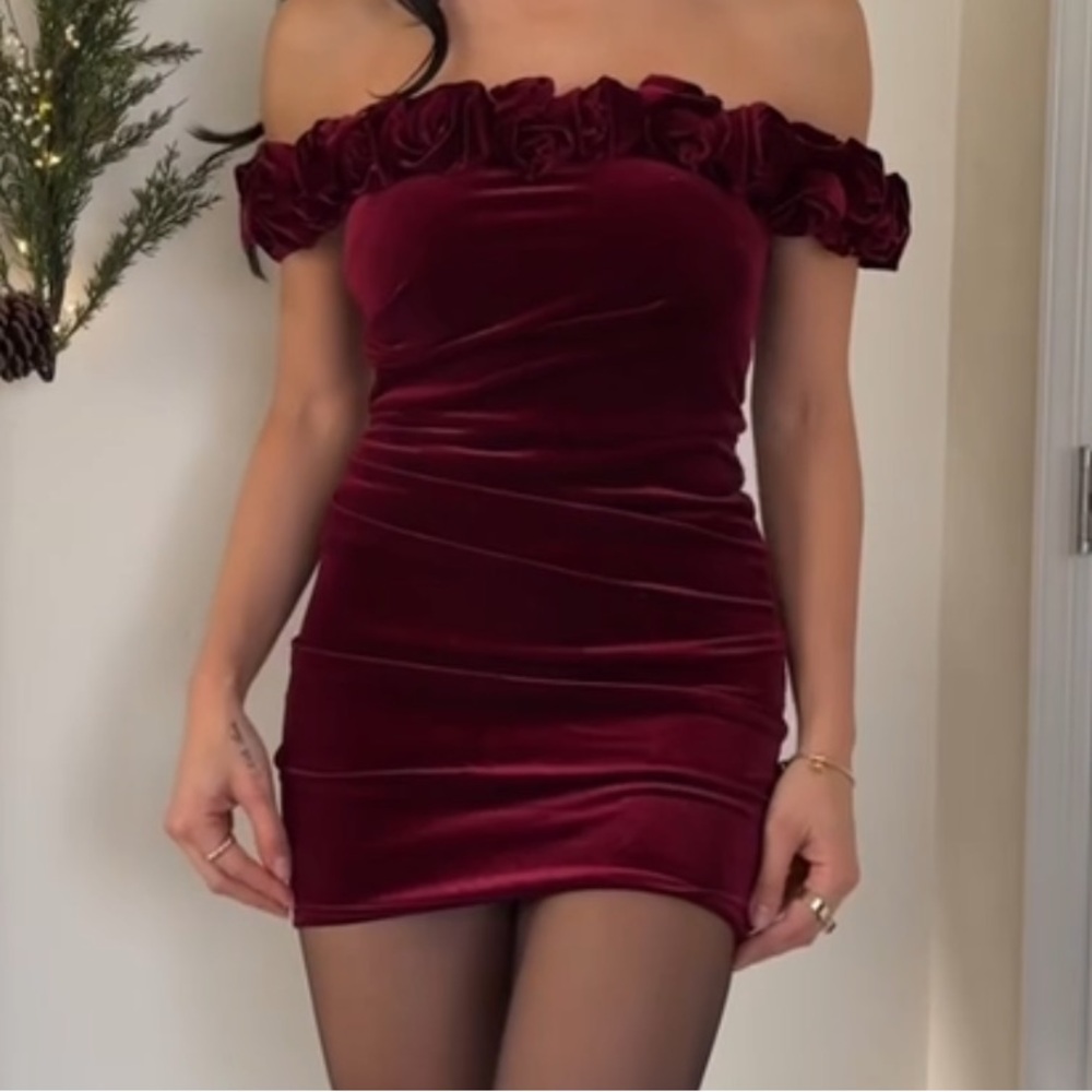 NWOT Burgundy Windsor Dress